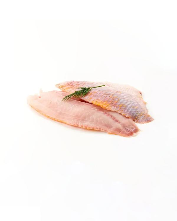 Fresh Tilapia fillet - Grade A